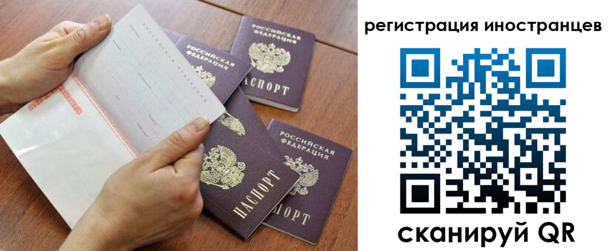 прописка поиск в Котово